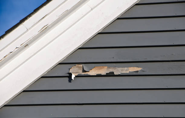  Brookside, NJ Junk Removal Pros